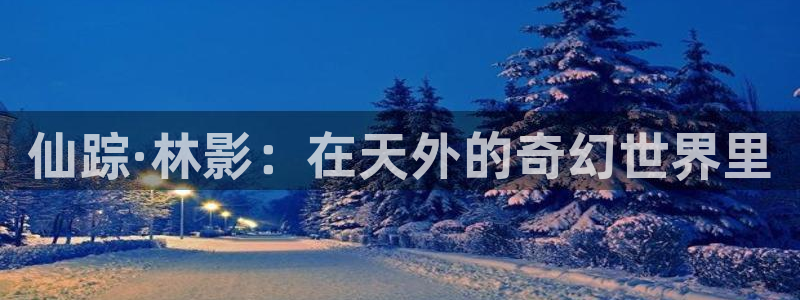 樱樱桃视频：仙踪·林影：在天外的奇幻世界里