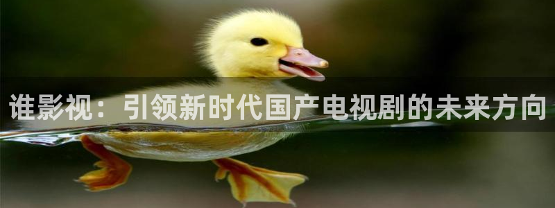 樱桃视频页：谁影视：引领新时代国产电视剧的未来方向
