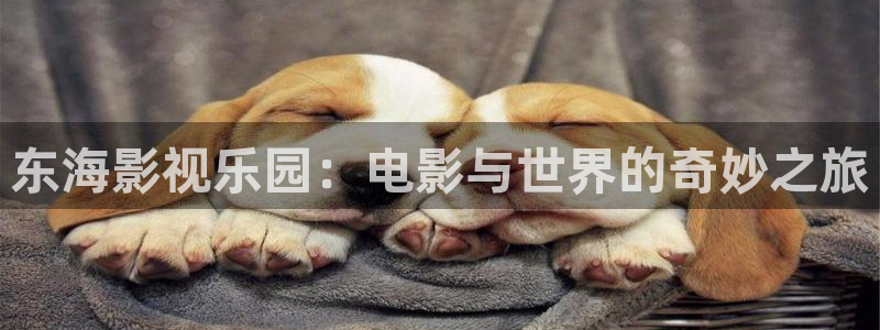 樱桃视频免费地址：东海影视乐园：电影与世界的奇妙之旅