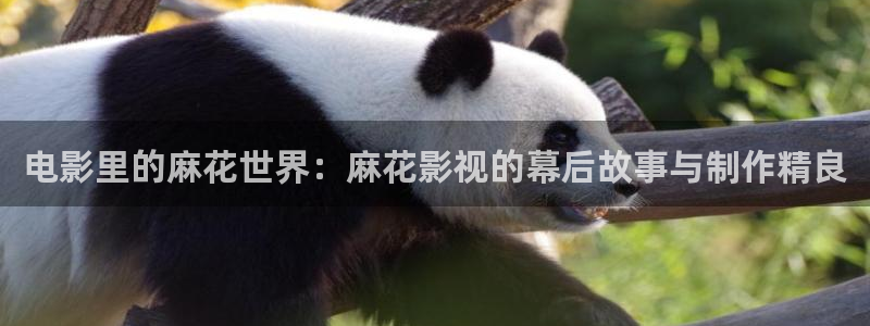成人樱桃电影：电影里的麻花世界：麻花影视的幕后故事与制作精良