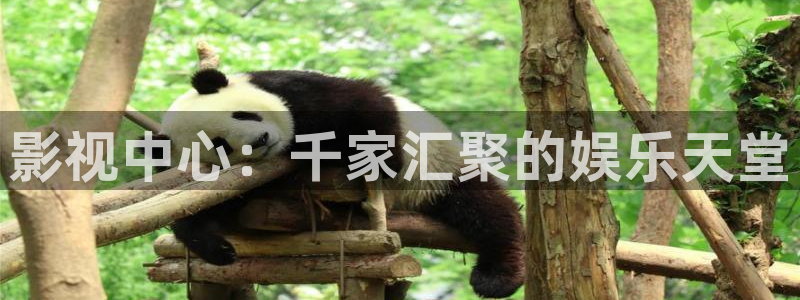 136樱桃福利视频导航：影视中心：千家汇聚的娱乐天堂