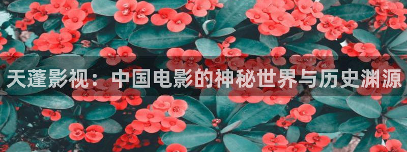 车厘子和樱桃的区别视频：天蓬影视：中国电影的神秘世界与历史渊源