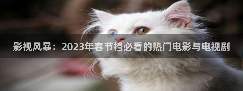樱桃视频伦理：影视风暴：2023年春节档必看的热门电影与电视剧