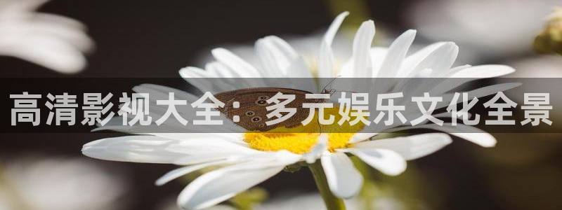 买樱桃视频：高清影视大全：多元娱乐文化全景